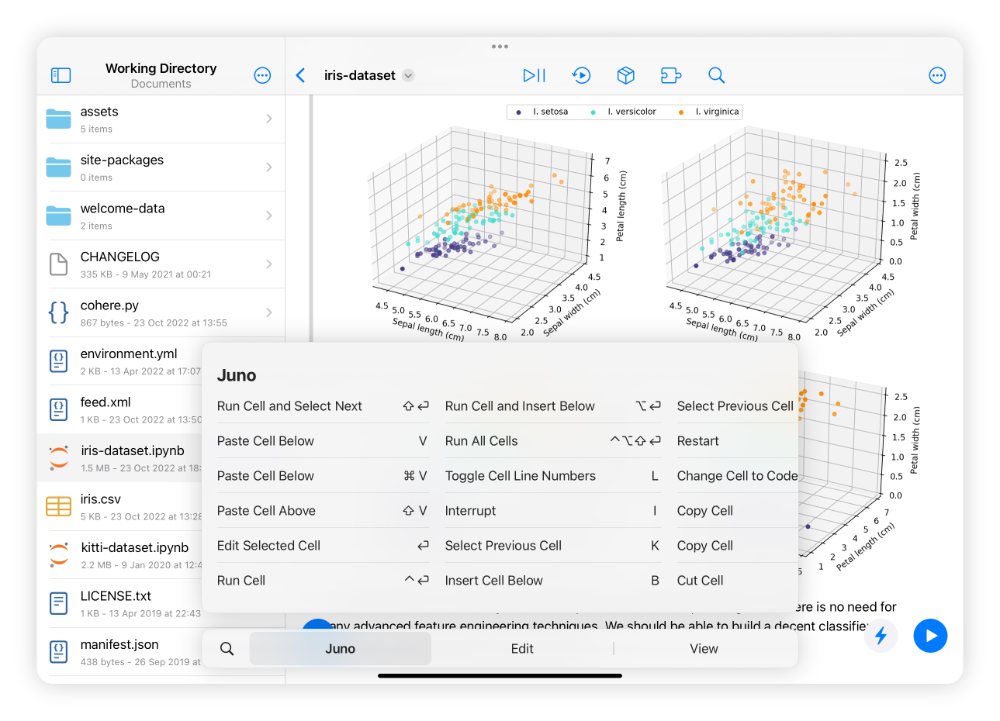 Notebook editor showing all key shortcuts