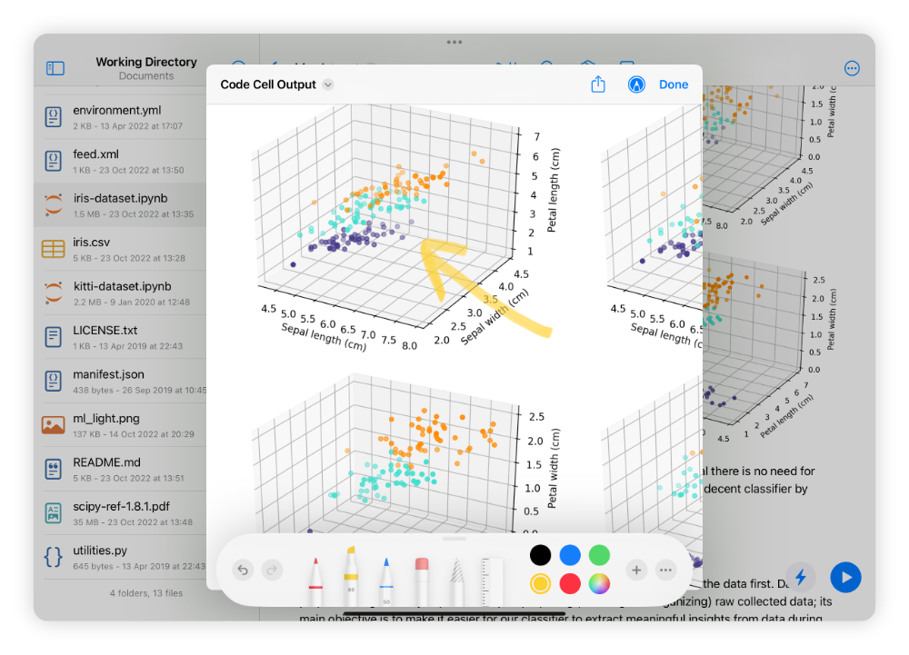 Notebook editor showing cell output image in a modal viewer