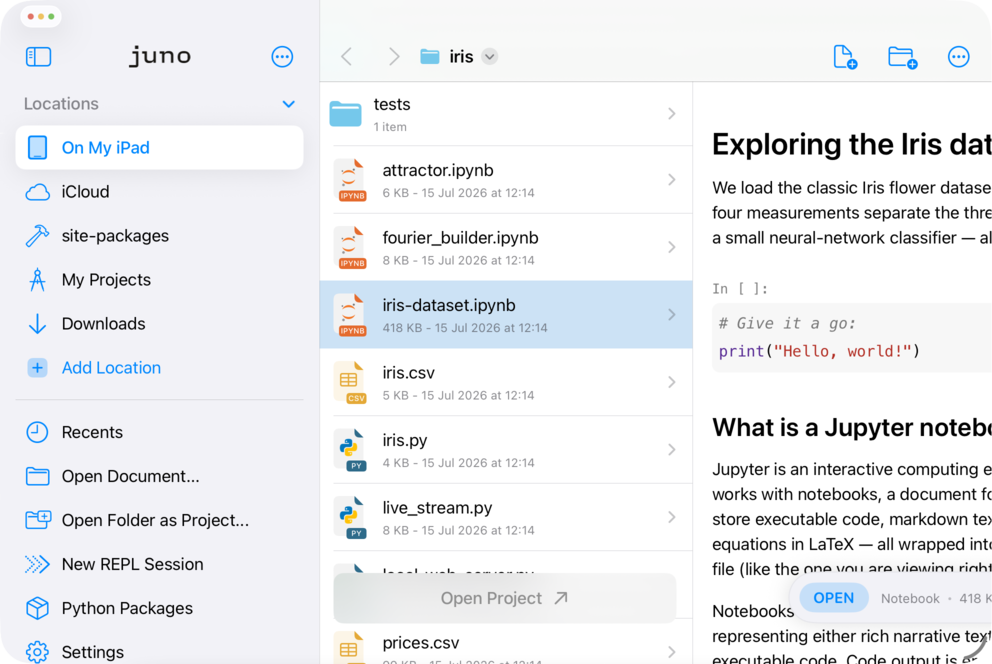 Juno file browser with locations, files and an Iris notebook preview