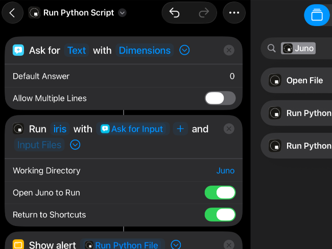 Apple Shortcuts workflow using Juno to run a Python script